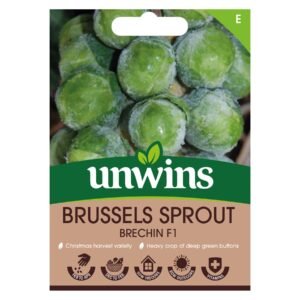Unwins Vegetable Brussels Sprout Brechin F1 Hybrid - 35 Seeds