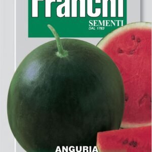 Franchi Seeds of Italy - DBO 3/10 - Watermelon - Sugar Baby - Seeds