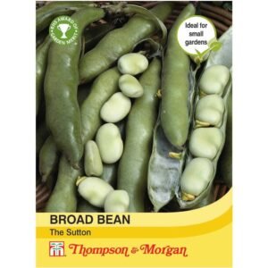 Thompson & Morgan  Vegetable Broad Bean The Sutton - 30 Seeds