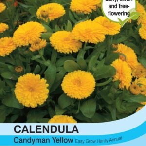 Thompson & Morgan Calendula Candyman Yellow 100 Seed