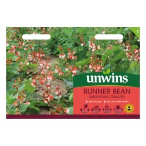Unwins Vegetable Runner Bean Dwarf Sweepstake  - 30 Seeds