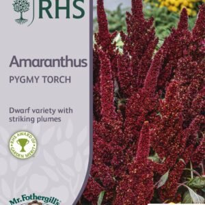Mr Fothergills - RHS - Flower - Amaranthus - Pygmy Torch - 1000 Seeds