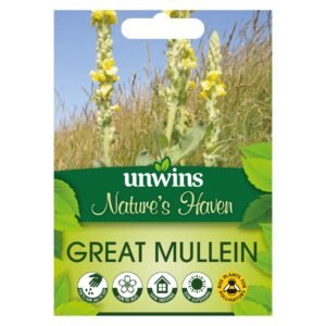 Unwins Flower Native British Isles Wildflower Great Mullein - 200 Seeds