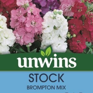 Unwins Stock Brompton Mix 100 Seeds