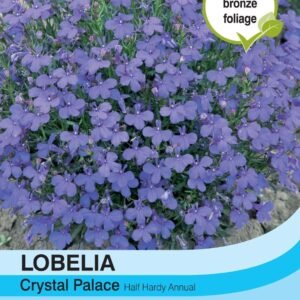 Thompson & Morgan Lobelia Crystal Palace 1000 Seed