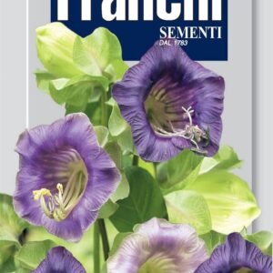 Franchi Seeds of Italy - Flower - FDBF_ 313-55 - Cobaea scandens - Seeds