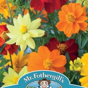 Mr Fothergills - Flower - Cosmos - Brightness Mixed - 45 Seeds