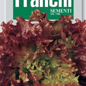 Franchi Seeds of Italy Lettuce Riccia Invernale Seeds