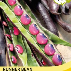 Thompson & Morgan  Vegetable  Runner Bean Black Knight - 20 Seeds