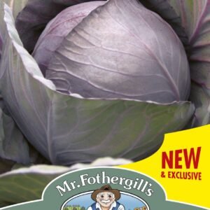 Mr Fothergills Red Cabbage Romanov F1 30 Seeds