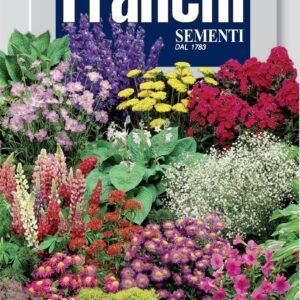 Franchi Seeds of Italy - Flower - FDBF_ 322-14 - Mixed Perennial Flowers - Seeds