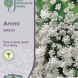 Mr Fothergills RHS Ammi Majus 500 Seeds