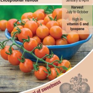 Kings Seeds Tomato Honeycomb F1 Hybrid Seeds