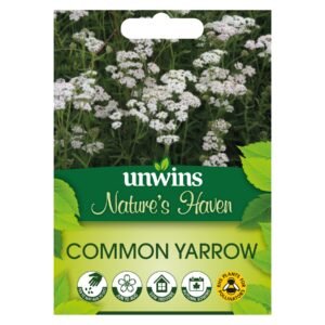 Unwins Flower Native British Isles Wildflower Common Yarrow - 500 Seeds