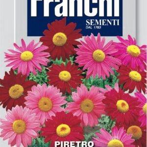 Franchi Seeds of Italy - Flower - FDBF_ 342-60 - Pyrethrum - Piretro Robinsons - Seeds