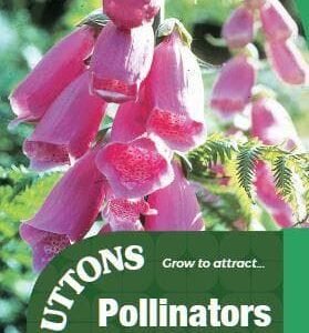 Sutton Seeds - Wild Foxglove Seeds