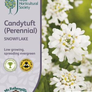 Mr Fothergills RHS Candytuft (Perennial) Snowflake 75 Seeds