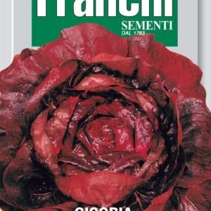 Franchi Seeds of Italy - DBO 40/64 - Chicory - Palla Rossa 3 Sel. Orchidea Rossa - Seeds