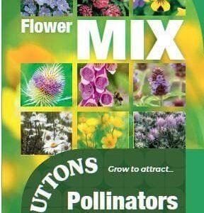 Sutton Seeds - Pollinators and Predators Seeds - Pollinator Mix