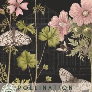 Thompson & Morgan Kew Pollinators Flower Musk Mallow - 40 Seeds