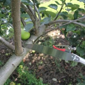 Darlac DP110T Telescopic Snapper UK SHIPPING ONLY