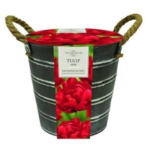 Taylors Outdoor Metal Buckets Tulip Abba