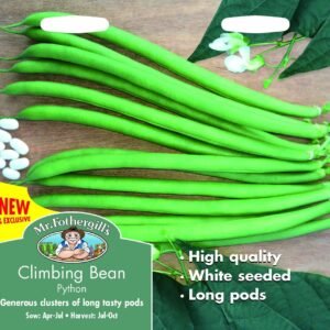 Mr Fothergills Climbing Bean Python 50 Seeds