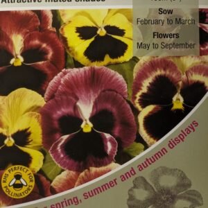 Kings Seeds Pansy Summer Berries F2 - 50 Seed