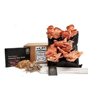 Mushroom Pink Oyster Growing Kit