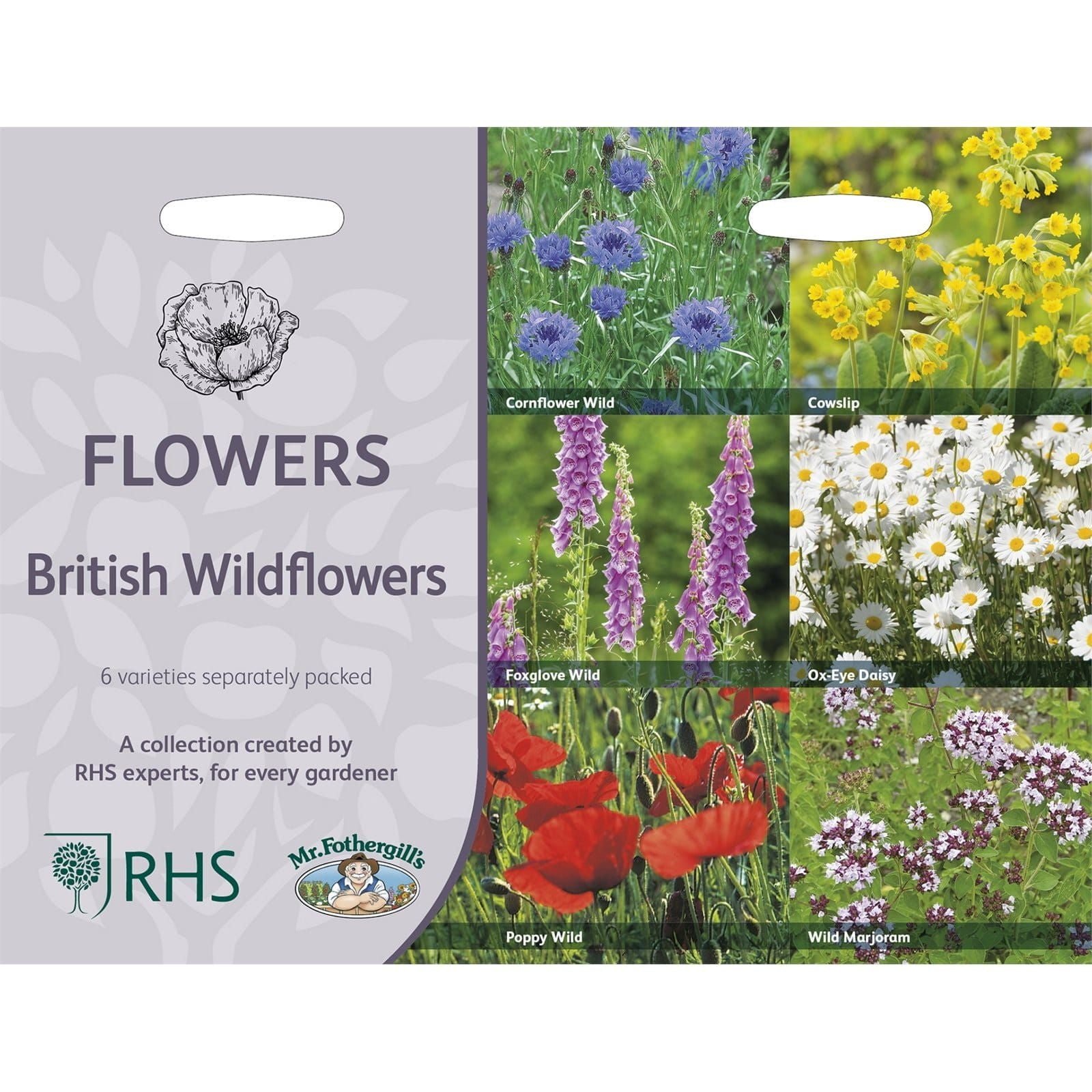 RHS_British_Wildflowers_Collection_comp_62ce3c1a-4f98-41ea-9d8d-fefaa6efe1ec.jpg