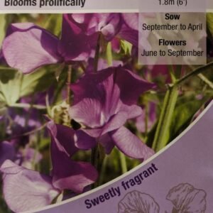 Kings Seeds Sweet Pea Memories 20 Seeds