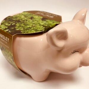 Taylors - Gift - Novelty Pig Planter - Ceramic Parsley Planter