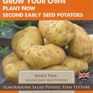 Seed Potatoes Maris Peer 10 Tubers Second Earlies