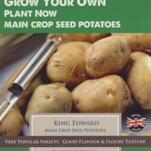 Taylors Seed Potatoes King Edward 10 Tubers Main Crop