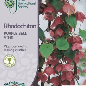 Mr Fothergills RHS Rhodochiton Purple Bell Vine 15 Seeds