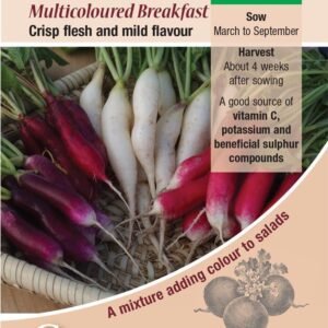 Kings Seeds  Radish Multicoloured Breakfast Mixed Seeds