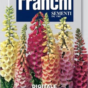 Franchi Seeds of Italy - Flower - FDBF_ 317-20 - Digitalis - Foxglove - Multicolour - Seeds
