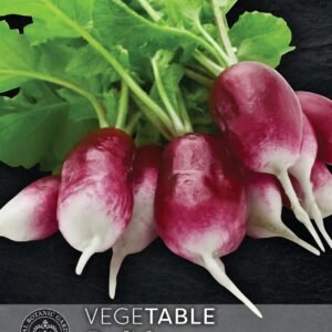 Thompson & Morgan Kew Vegetable Radish Diana - 500 Seeds