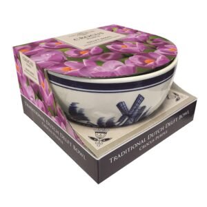 Taylors - Gift - Purple Crocus Delft Bowl Showcase - 9 bulbs