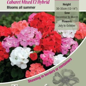 Kings Seeds  Geranium Cabaret Mixed F2 Seeds