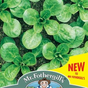 Mr Fothergills - Vegetable - Lambs Lettuce - Vit - 500 Seeds