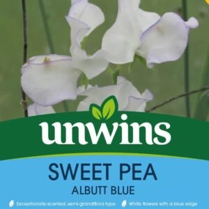 Unwins Flower Sweet Pea Albutt Blue - 21 Seeds
