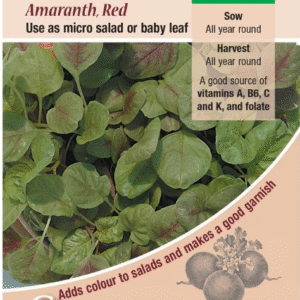 Kings Seeds Salad Leaf Amaranthus Red 150 Seeds