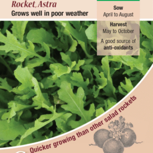 Kings Seeds Salad Leaf Rocket Astra 500 Seeds