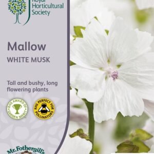 Mr Fothergills RHS Mallow White Musk 100 Seeds