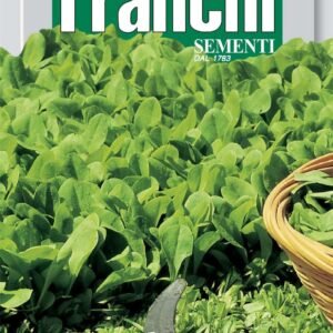 Franchi Seeds of Italy Chicory Zuccherina Di Trieste Seeds
