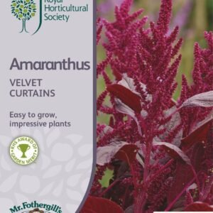 Mr Fothergills RHS Amaranthus Velvet Curtains 1500 Seeds