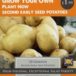 Taylors Seed Potatoes Gemson 10 Tubers Second Early