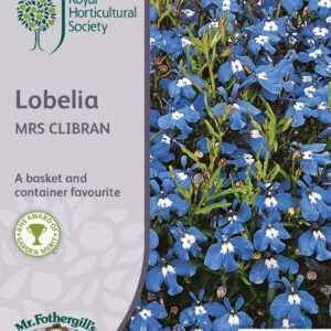 Mr Fothergills RHS Lobelia Mrs Clibran 2500 Seeds