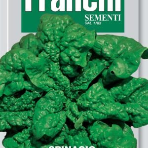 Franchi Seeds of Italy Spinach America Seeds